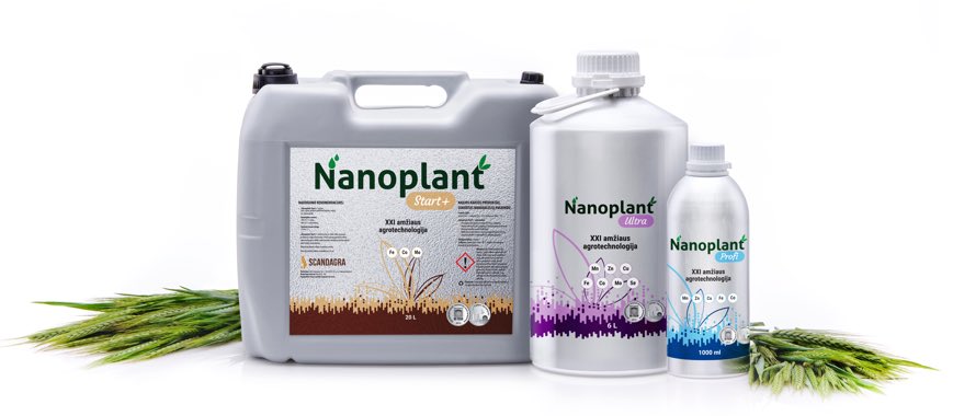 nanoplant-kompozicija